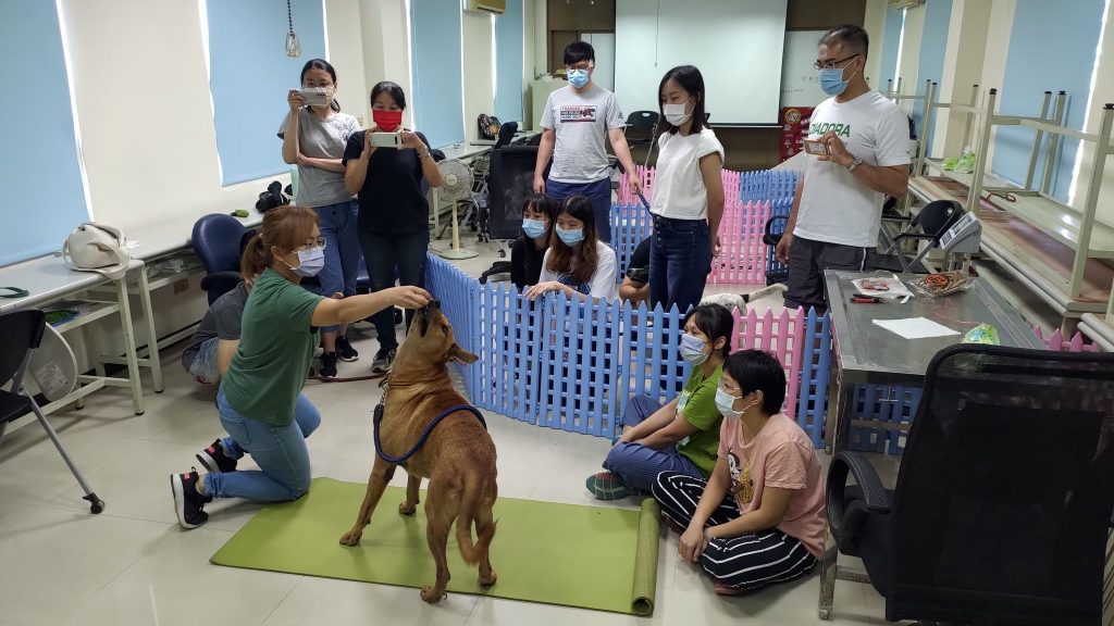 112年臺南市動物之家志工與飼主訓練講座開跑囉！